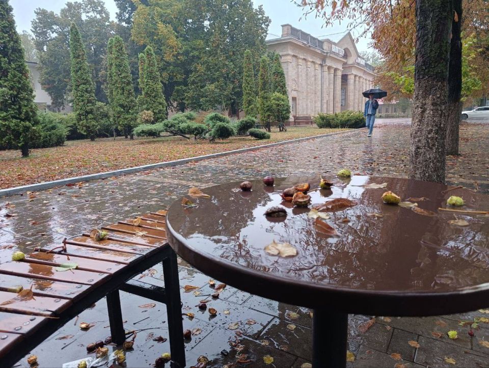 Сегодня — День отражения в лужах