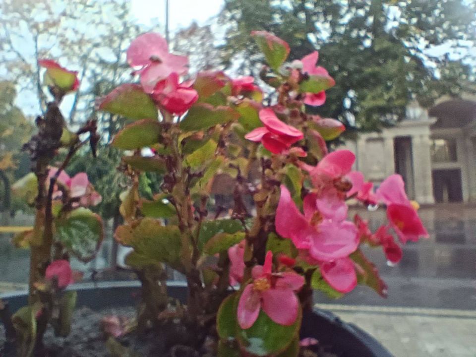 Как передает городской отдел по делам ГО и ЧС, 10 октября ожидается облачная погода с прояснениями, ночью кратковременный дождь, днем местами кратковременный дождь