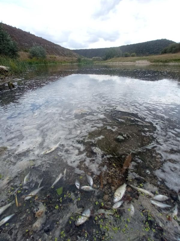 ���� ���� ����� �� ������ �������� ������ ���������� ���������, ����� � ���������������