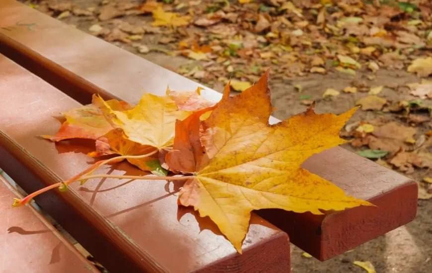 ������� ������� � ��������� �������: ������� ������ �� 2,8 �������� ����� - ������, ��� �� ��� ����