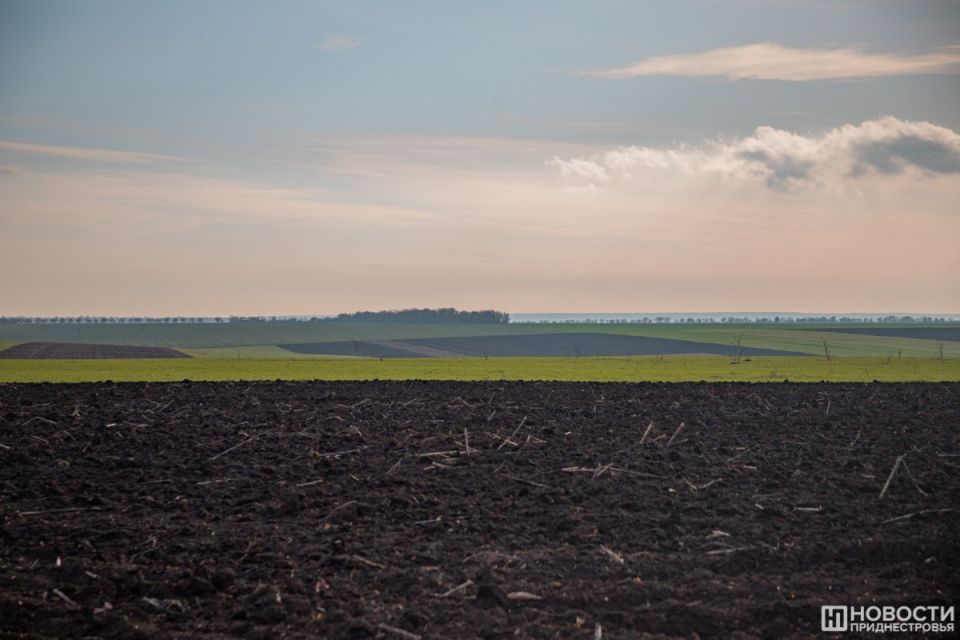 ��������� ���� ������ � ����� �� ��������������� ����� ���������� ������