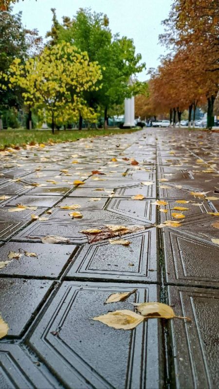 Осенние дождливые Дубоссары