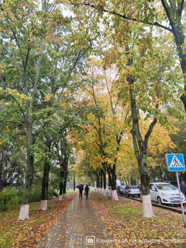 У природы нет плохой погоды — она всегда рисует шедевры