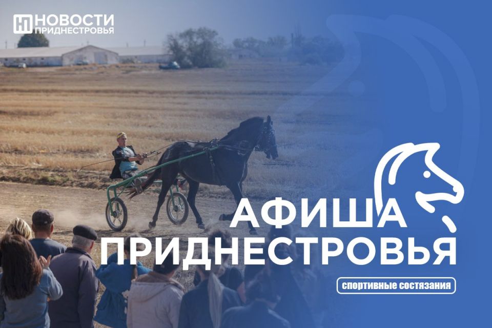 Бега рысаков, спектакли и концерты — рассказываем, как можно интересно провести выходные в Приднестровье