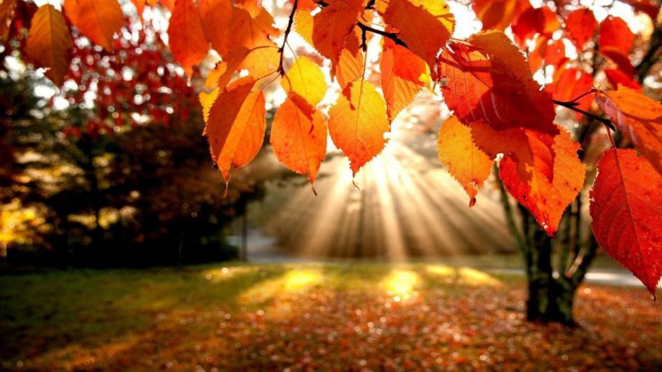 11 октября отмечаются несколько международных праздников, каждый из которых посвящен важным темам: