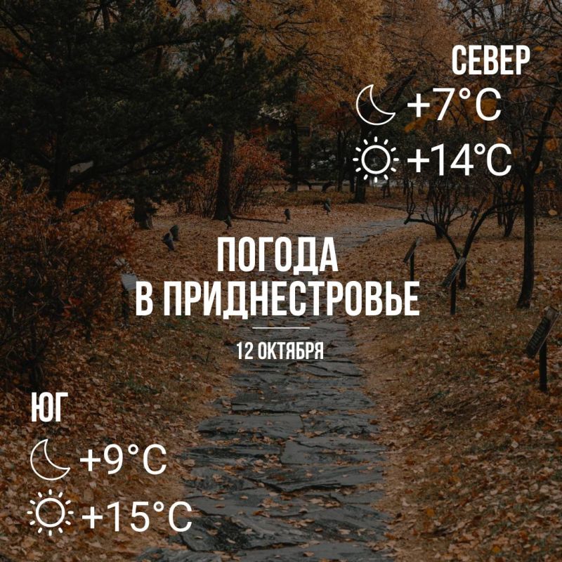 Днём – до +15°С, утром местами слабый дождь