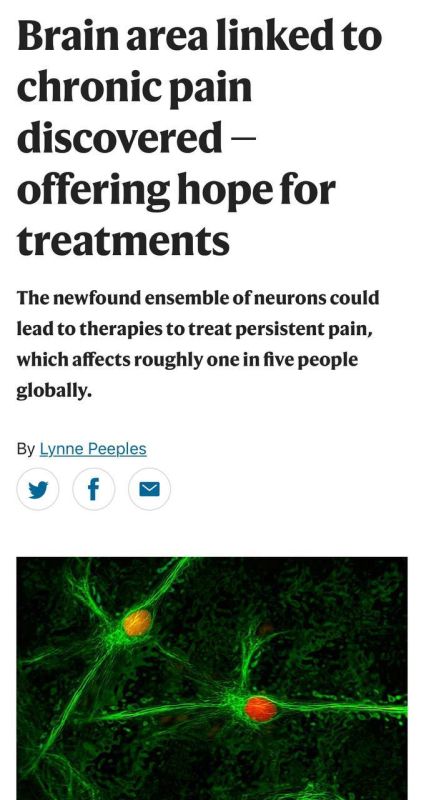 ������ ����� ������ ��������� ��������� ����