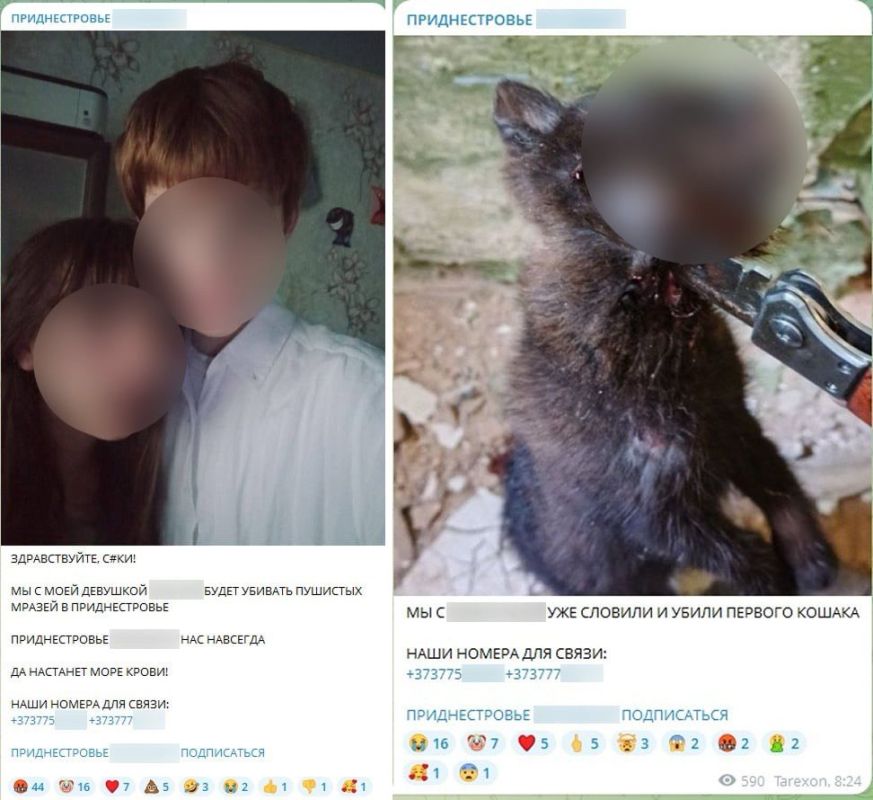 Подросток из Тирасполя поругался в украинском телеграм-паблике с местными подписчиками