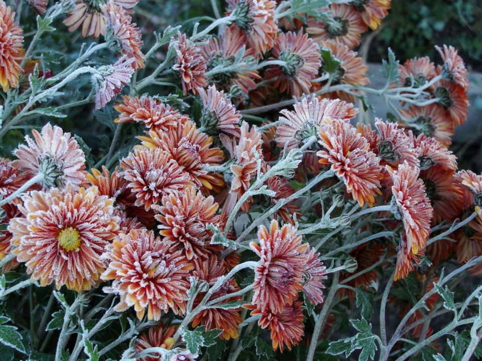  . 15  16          :     -2,      -2...-4