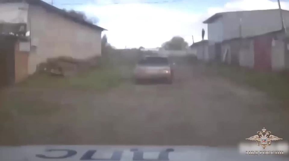 В Вологодской области обычный мужик с крыши гаража метко запустил поленом в пьяного лихача