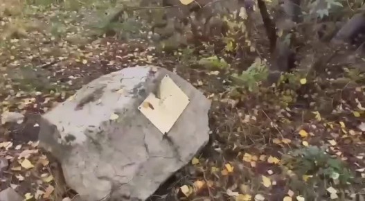           ,      .