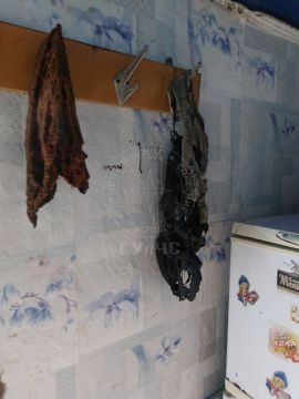 Взрыв газа в селе Ташлык. 60-летний мужчина получил ожоги лица и рук, когда пытался зажечь плиту — газ травил из повреждённого шланга