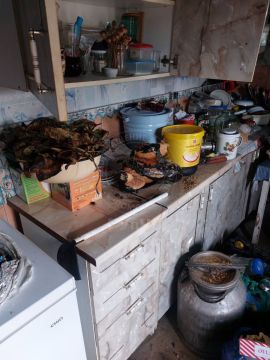 Взрыв газа в сельском доме (Григориопольский район)