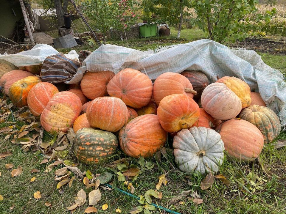 ������ ������� ����� ��� ������� ��������� ������ � ����� ��������� ���������