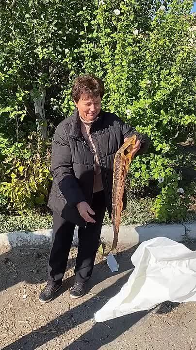 Вера Станиславовна из Каменки распаковала осетра, которого выиграла в первый день розыгрыша от «Акватира» в Инстаграме ТСВ