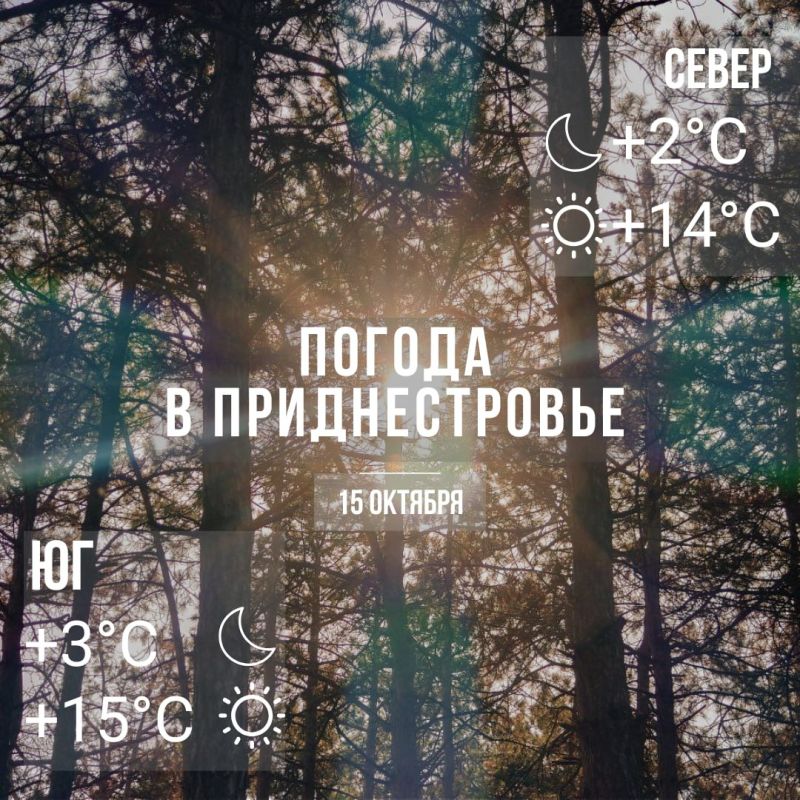 ���� � �� +15��. ��� �������