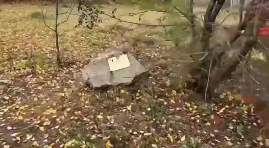     -     