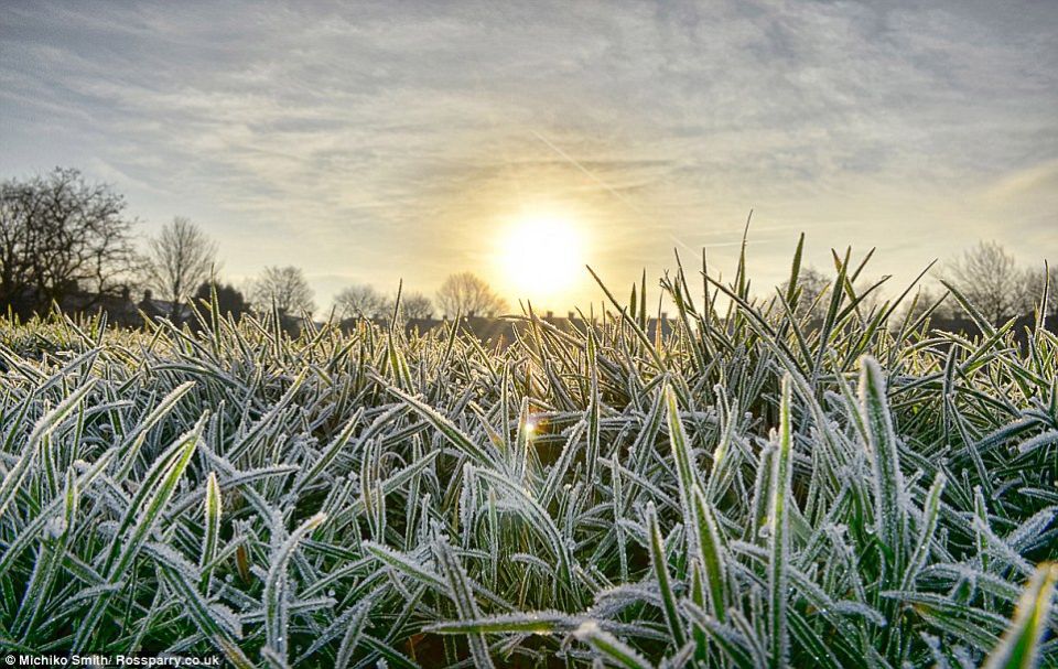  . 17                -2