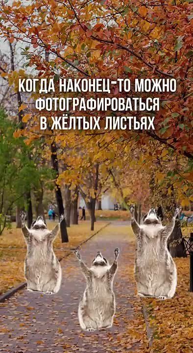 Бабье лето придёт к нам через неделю, рассказал Виталий Кольвенко