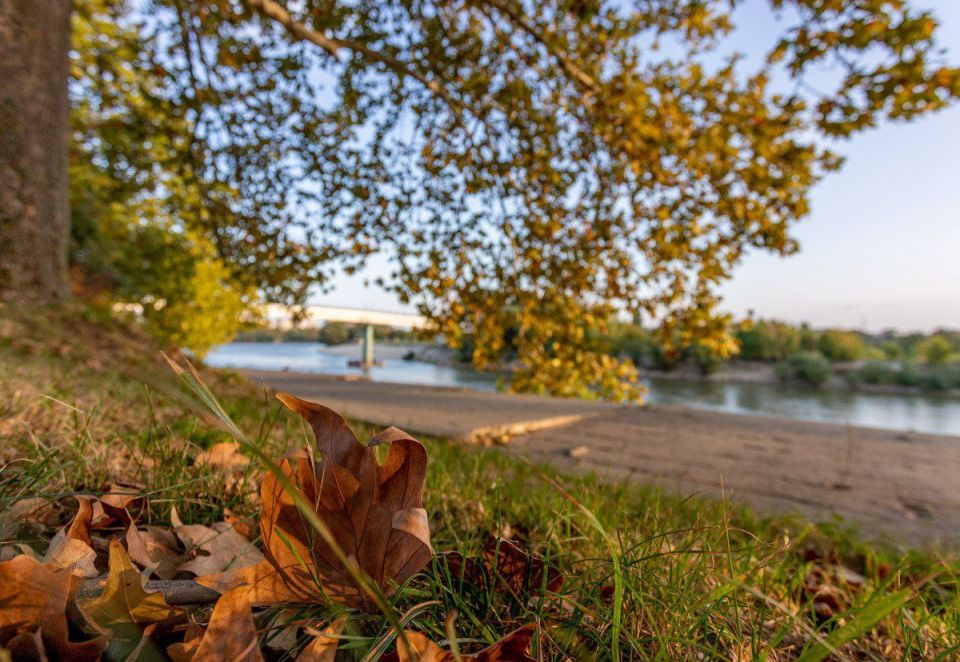 На следующей неделе в Приднестровье потеплеет до +20°C — вернётся короткое бабье лето