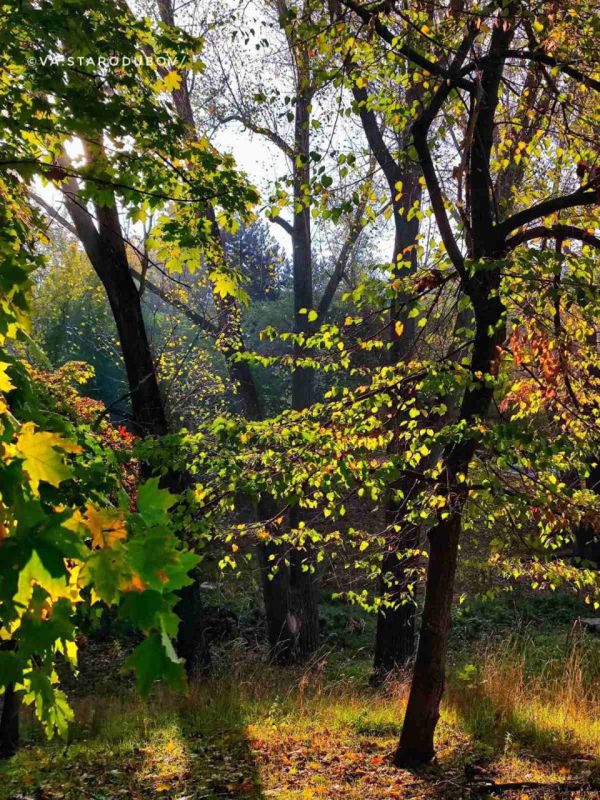 Дубоссарский разноцветный октябрь