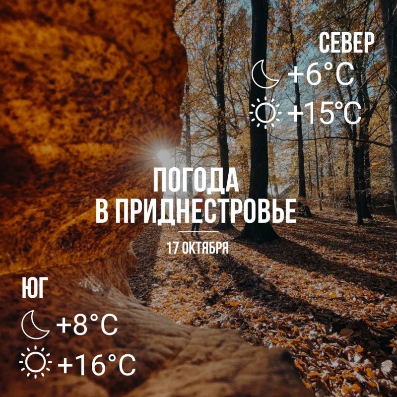 Днём – до +16°С, без осадков