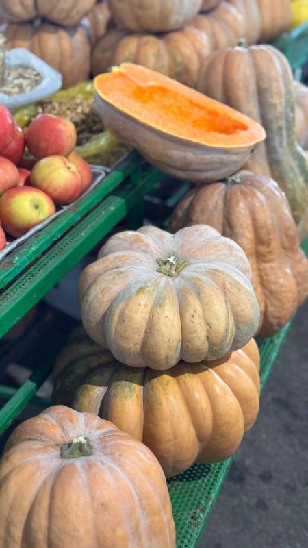 Самый популярный сорт тыквы «Ромашка» продают по 8-10 рублей на столичном рынке