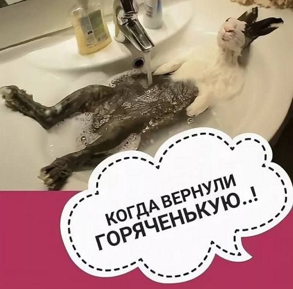 Сегодня во всех домах приднестровцев