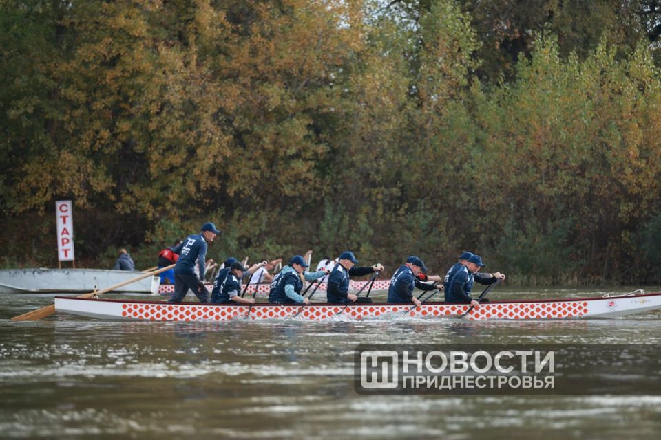 «Кубок Золотого дракона» в Бендерах: кто вышел в полуфинал?
