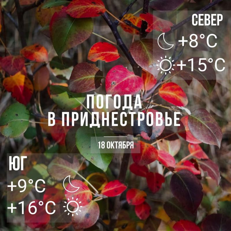 Днём – до +16°С. Местами дожди
