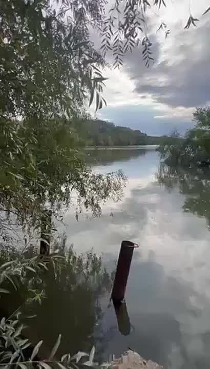 Днестр ниже Дубоссарской ГЭС поднялся на несколько метров