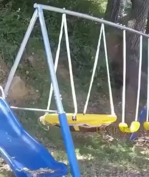 В США медведю построили качели размера XXL: