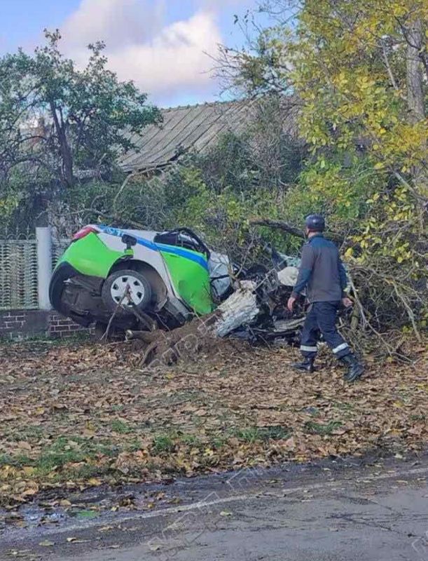 Патрульная машина врезалась в придорожный орех