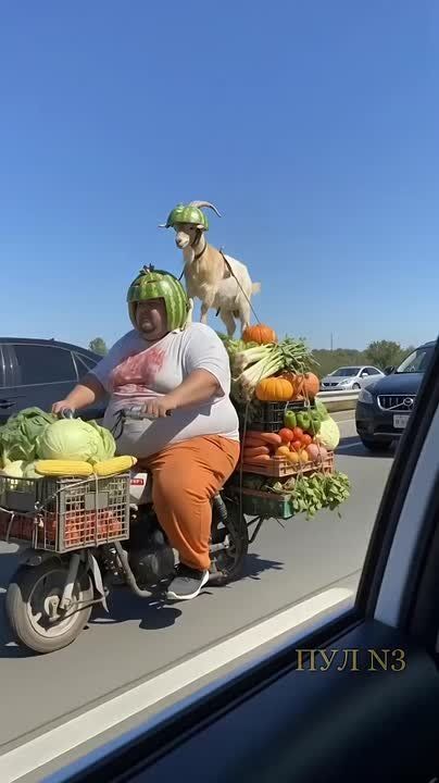 Не все могут остановиться на кошке или собаке: