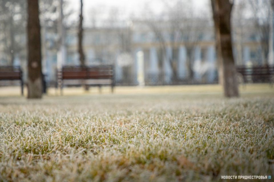 Завтра, 21 октября, по Приднестровью ожидаются заморозки на почве до -2°С