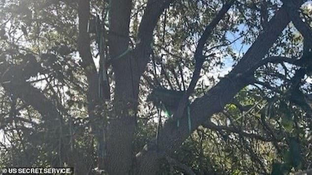 ������ ���������� ������������ ���������