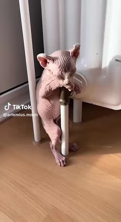 80-85% многоэтажек уже с теплом