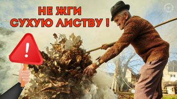 ГУпЧС: не жги сухую листву!