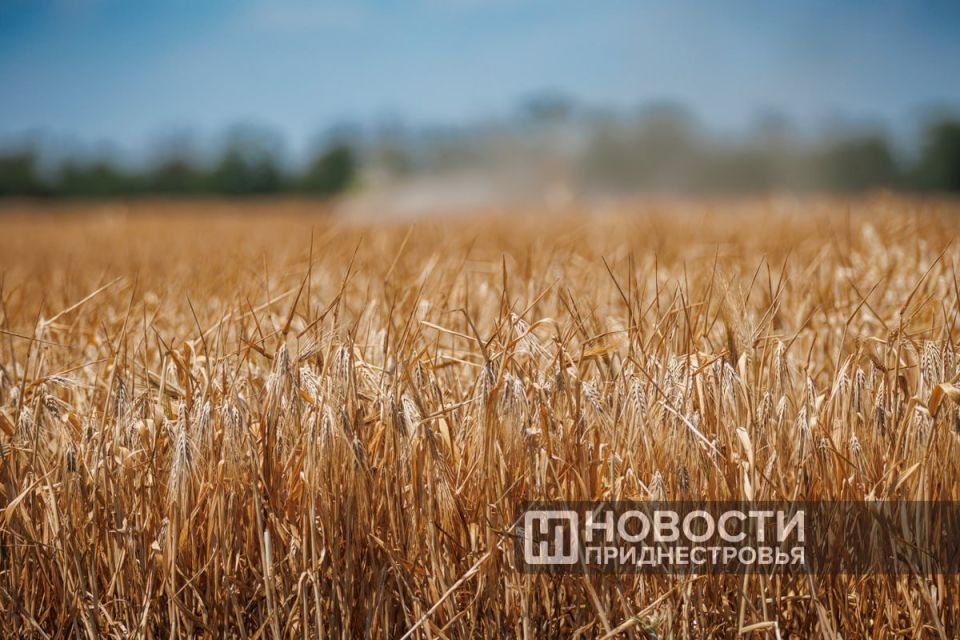 ����� 255 ����� ���� �������� � ����������� ������� �� 80,8 ��� �������� � ������� ������������� �� 9 ������� 2025 ����