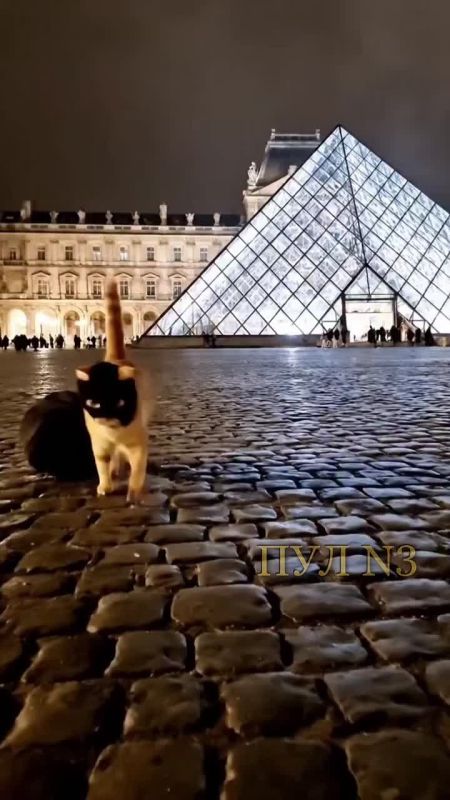 ���������: ������� ������ ���������� �������� ������ �� ���������� �����