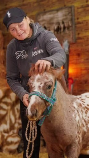 В бендерском конном клубе «Аллюр» — пополнение