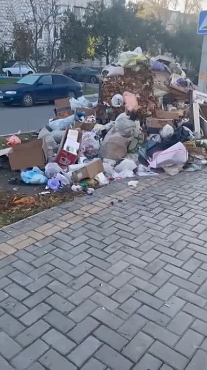 ������ ����������� ����������� (�����) �������� �� �������� ���� ������ ������� ��������� ��� ��� �� ���������� ������