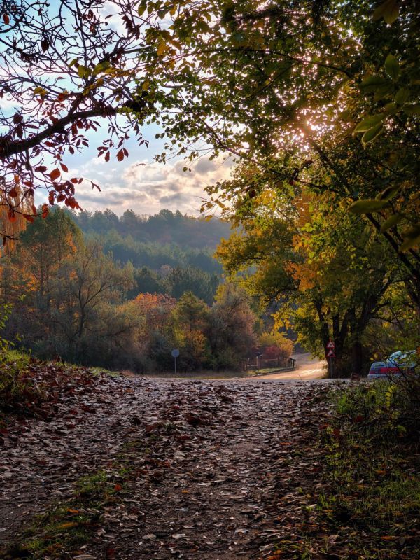 Осень добралась до Ягорлыка