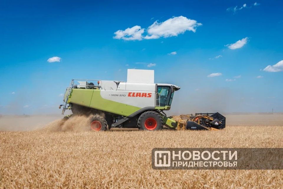 Более 350 тысяч тонн зерна собрано в этом году в Приднестровье