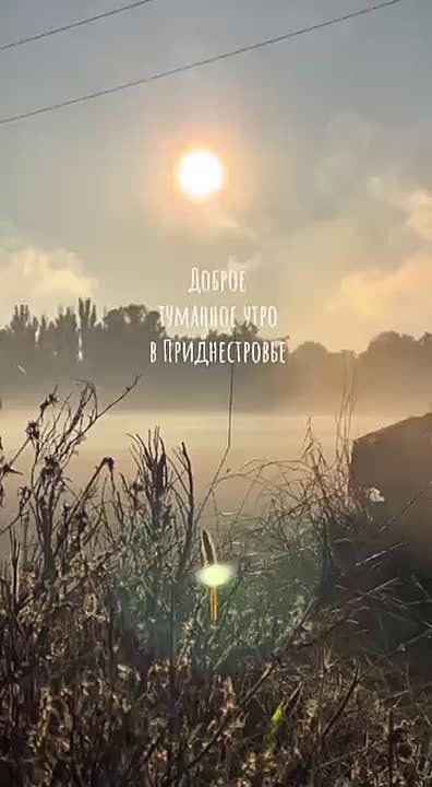 Гидромет измерил видимость: 200-500 метров