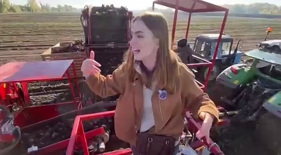 Сегодня президенту доложили, что выращенных в Приднестровье овощей, кроме картофеля, хватает для внутреннего рынка