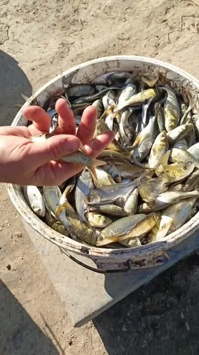 ������� ������ 1,5 ���� ������� �����, ������ ����� � ������������ ��������� � ������ � ������ ������ - ��� �������� ������ ��� ������ � ������