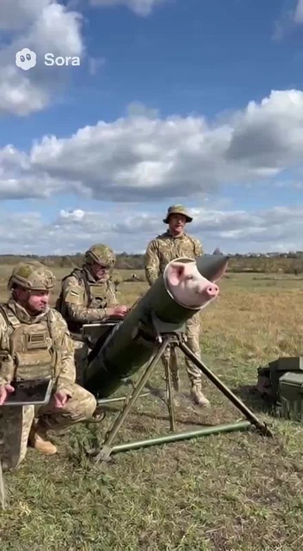 ������������ ����������� ��������� �������