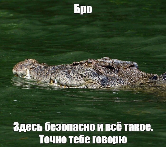 ���� � ����������� �������� ��� ������������ �� ������ �� ���������-2032 � ���������