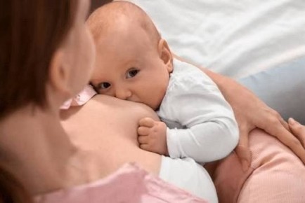 Специалисты ЮНИСЕФ проводят семинар, как завершить грудное вскармливание и избежать психологических травм у мамы и малыша